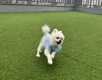 오늘도 운동장 접수한 꼬마 공주