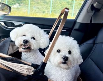 편안함을 찾은 덕배의 일상